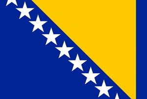Bosnia and Herzegovina flag