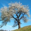 Nevruz Bayramı Kutlu Olsun